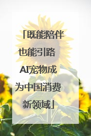 既能陪伴也能引路 AI宠物成为中国消费新领域