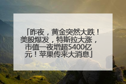 昨夜，黄金突然大跌！美股爆发，特斯拉大涨，市值一夜增超5400亿元！苹果传来大消息