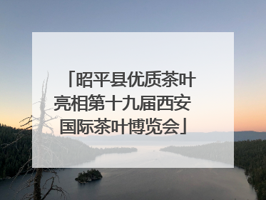 昭平县优质茶叶亮相第十九届西安国际茶叶博览会