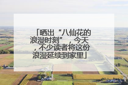晒出“八仙花的浪漫时刻”，今天，不少读者将这份浪漫延续到家里