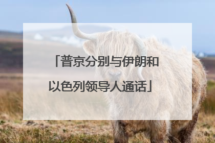 普京分别与伊朗和以色列领导人通话