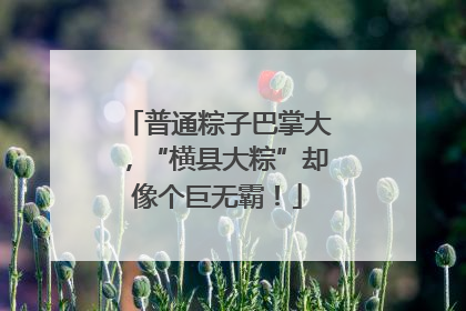 普通粽子巴掌大，“横县大粽”却像个巨无霸！