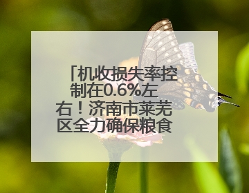 机收损失率控制在0.6%左右！济南市莱芜区全力确保粮食颗粒归仓
