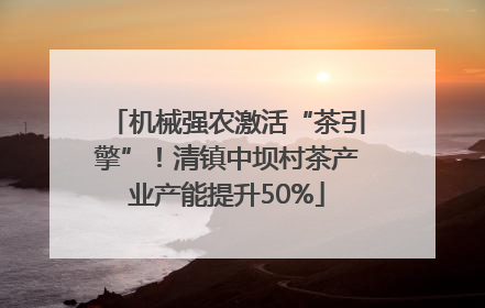 机械强农激活“茶引擎”！清镇中坝村茶产业产能提升50%