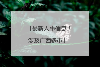 最新人事信息！涉及广西多市