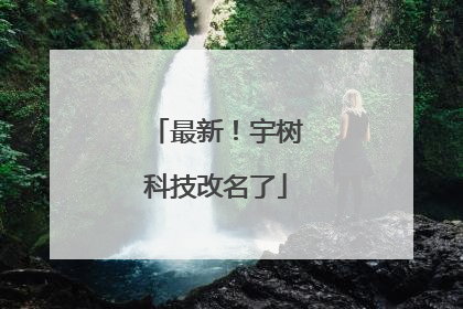最新！宇树科技改名了