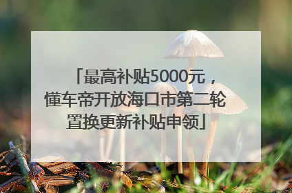 最高补贴5000元，懂车帝开放海口市第二轮置换更新补贴申领