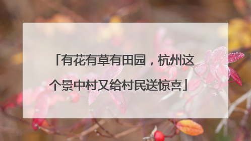 有花有草有田园，杭州这个景中村又给村民送惊喜