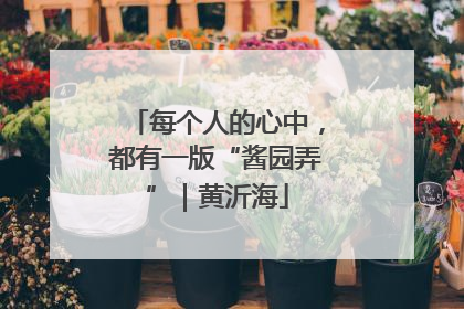 每个人的心中，都有一版“酱园弄”｜黄沂海