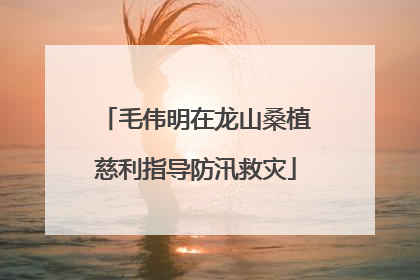 毛伟明在龙山桑植慈利指导防汛救灾