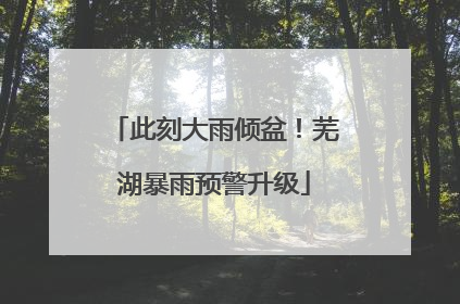 此刻大雨倾盆！芜湖暴雨预警升级