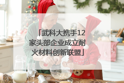 武科大携手12家头部企业成立耐火材料创新联盟