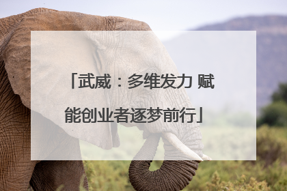 武威：多维发力 赋能创业者逐梦前行