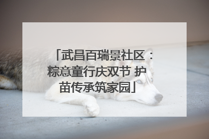 武昌百瑞景社区：粽意童行庆双节 护苗传承筑家园