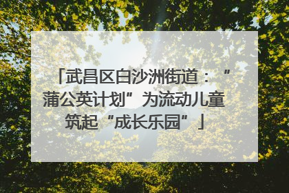 武昌区白沙洲街道：“蒲公英计划”为流动儿童筑起“成长乐园”