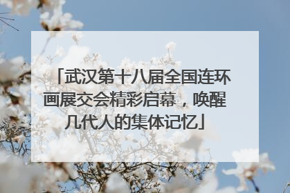 武汉第十八届全国连环画展交会精彩启幕，唤醒几代人的集体记忆