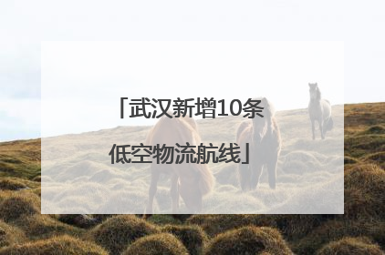 武汉新增10条低空物流航线