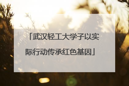 武汉轻工大学子以实际行动传承红色基因