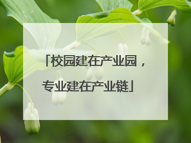 校园建在产业园，专业建在产业链