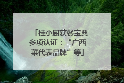 桂小厨获餐宝典多项认证：“广西菜代表品牌”等