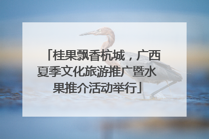 桂果飘香杭城，广西夏季文化旅游推广暨水果推介活动举行