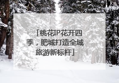 桃花IP花开四季，肥城打造全域旅游新标杆