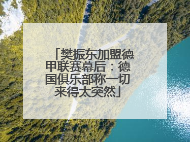 樊振东加盟德甲联赛幕后：德国俱乐部称一切来得太突然