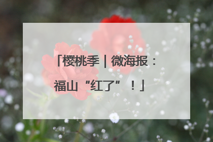 樱桃季｜微海报：福山“红了”！