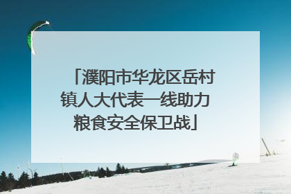 濮阳市华龙区岳村镇人大代表一线助力粮食安全保卫战