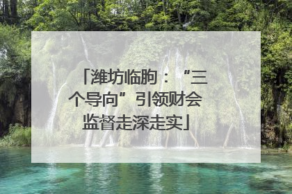 潍坊临朐：“三个导向”引领财会监督走深走实