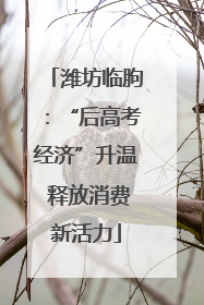 潍坊临朐：“后高考经济”升温 释放消费新活力