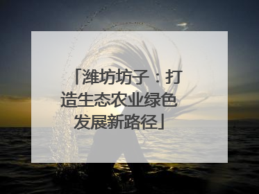 潍坊坊子：打造生态农业绿色发展新路径