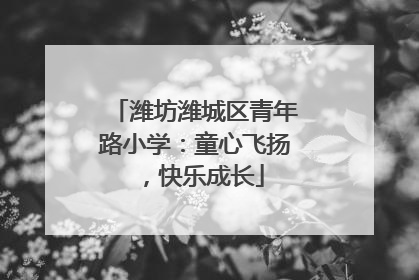 潍坊潍城区青年路小学：童心飞扬，快乐成长