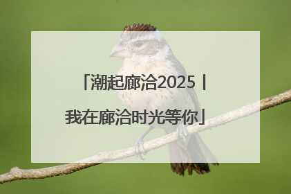 潮起廊洽2025丨我在廊洽时光等你