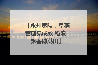 永州零陵：早稻管理见成效 稻浪飘香穗满田