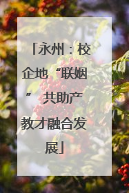 永州：校企地“联姻” 共助产教才融合发展