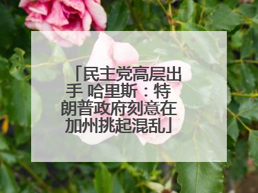 民主党高层出手 哈里斯：特朗普政府刻意在加州挑起混乱