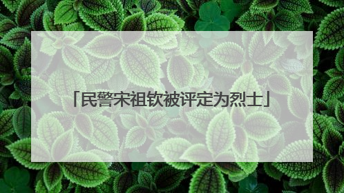 民警宋祖钦被评定为烈士