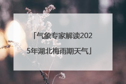 气象专家解读2025年湖北梅雨期天气