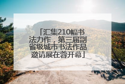 汇集210幅书法力作，第三届副省级城市书法作品邀请展在蓉开幕