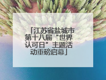 江苏省盐城市第十八届“世界认可日”主题活动重磅启幕