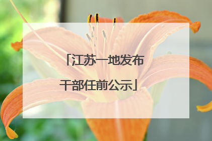 江苏一地发布干部任前公示
