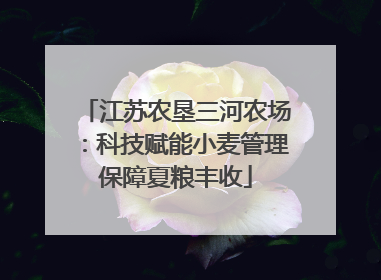 江苏农垦三河农场：科技赋能小麦管理保障夏粮丰收