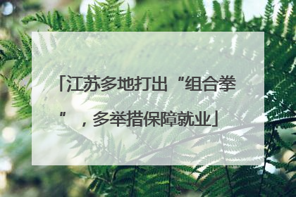 江苏多地打出“组合拳”，多举措保障就业