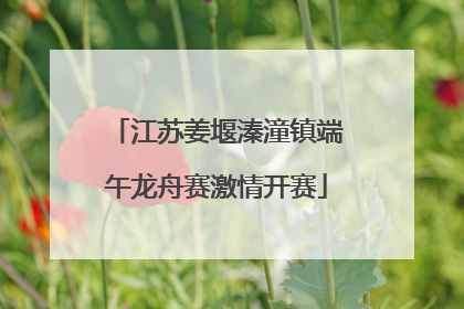 江苏姜堰溱潼镇端午龙舟赛激情开赛
