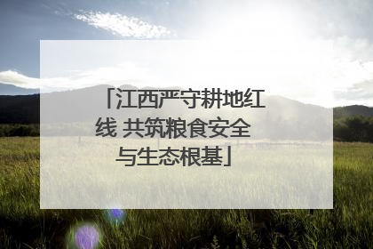 江西严守耕地红线 共筑粮食安全与生态根基