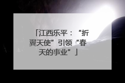 江西乐平：“折翼天使”引领“春天的事业”