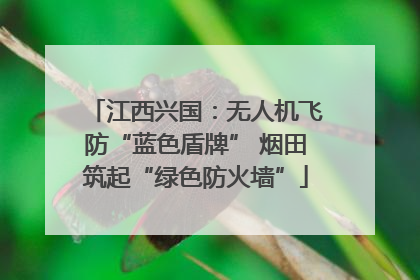 江西兴国：无人机飞防“蓝色盾牌” 烟田筑起“绿色防火墙”