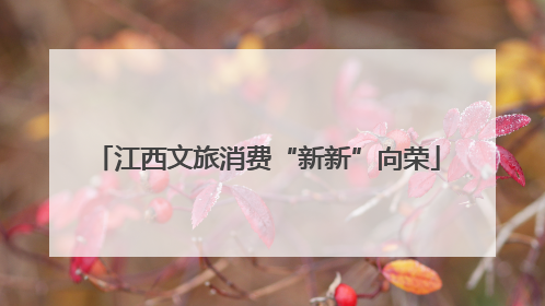 江西文旅消费“新新”向荣