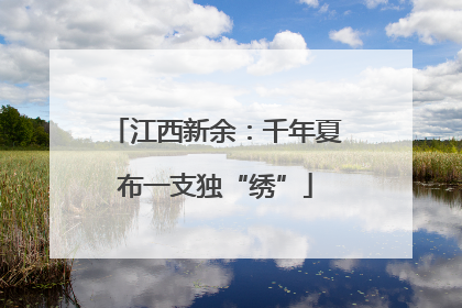 江西新余：千年夏布一支独“绣”